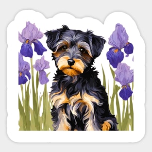 Yorkipoo Amongst Blue Irises Sticker